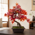 50cm Artificial Red Maple Bonsai Tree
