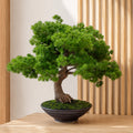 50cm Artificial Luxury Pine Bonsai Tree