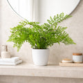 30cm Artificial Potted Southern Wood Fern