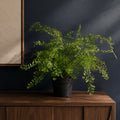 35cm Artificial Potted Fern Plant (Southern Maidenhair Fern)
