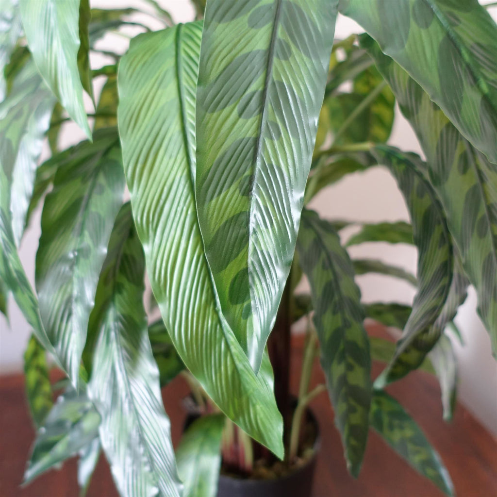 90cm Variegated Artificial Calathea Plant - Premium Quality