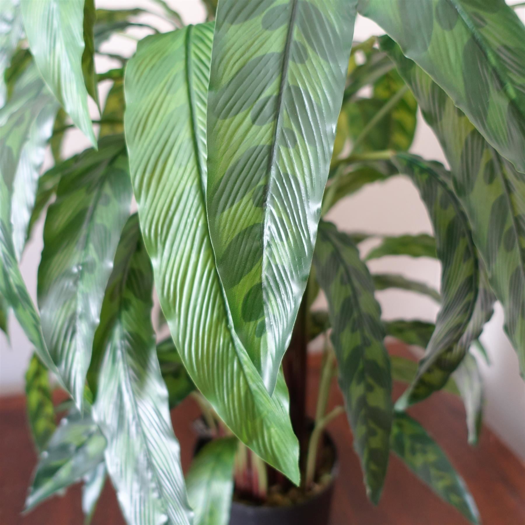 90cm Variegated Artificial Calathea Plant - Premium Quality