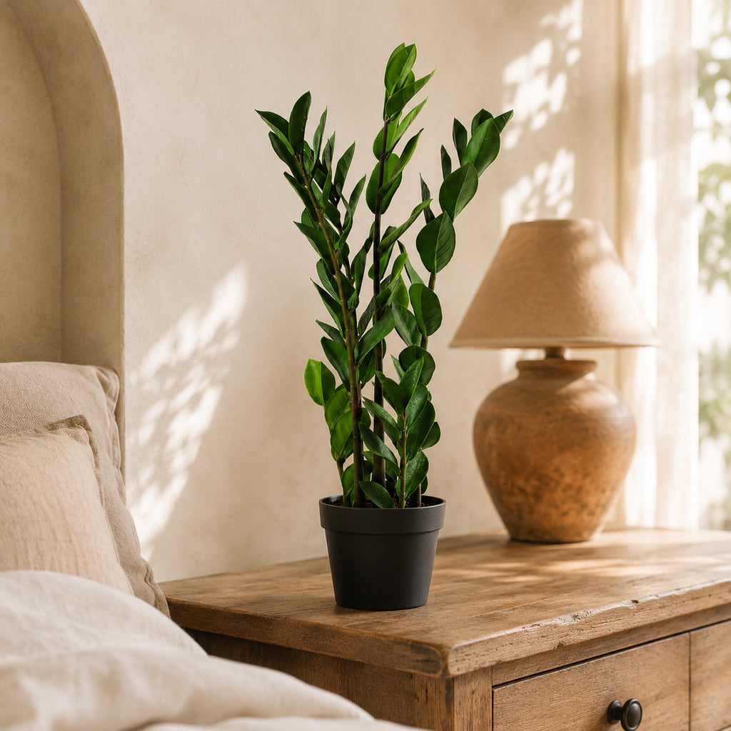 75cm Artificial Zanzibar Green Gem Zamioculcas Succulent Indoor Plant
