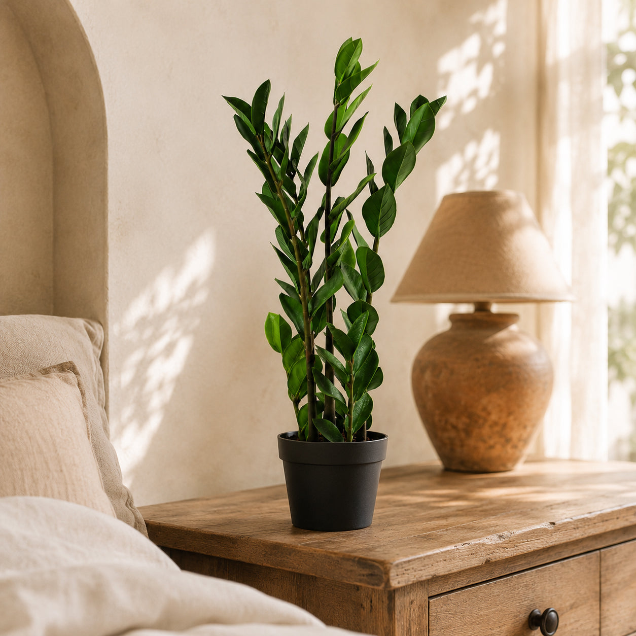 75cm Artificial Zanzibar Green Gem Zamioculcas Succulent Indoor Plant
