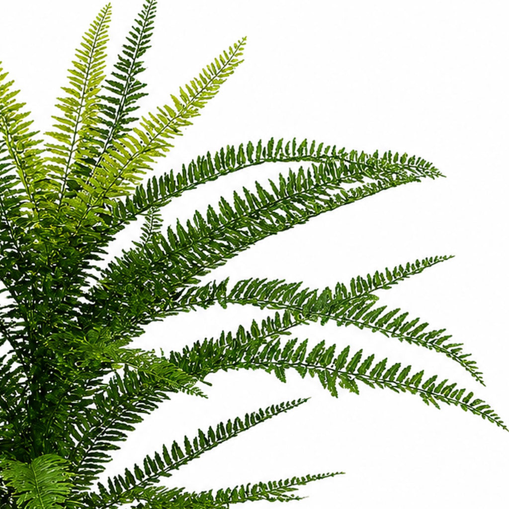 75cm Fire Retardant Plastic Boston Fern Plant with 49 Leaves - Premium Quality (image 2 of 3)