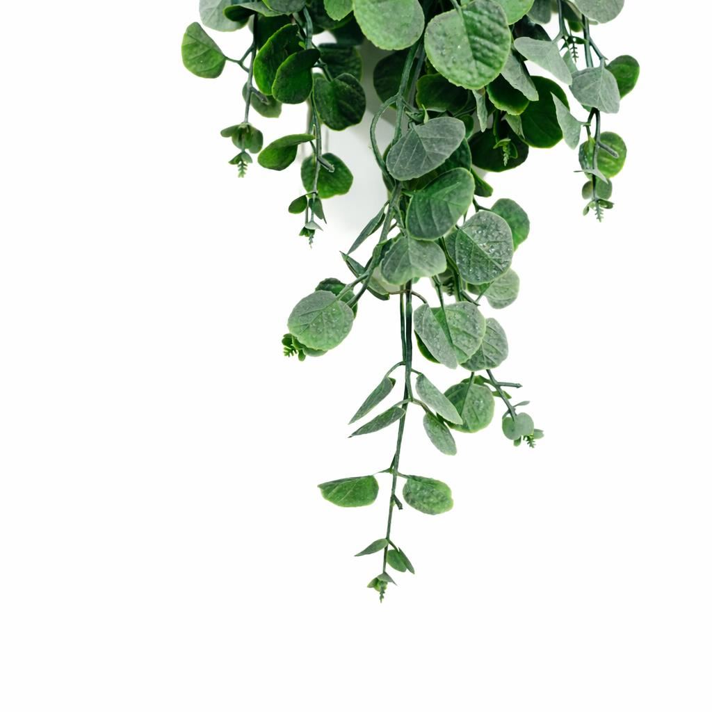 75cm Artificial Trailing Round Botanik Hanging Foliage Plant - Soft Eucalyptus Green - Premium Quality