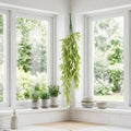 80cm Italian Ruscus Hanging Plant with Realistic Foliage - Light Green - Premium Quality