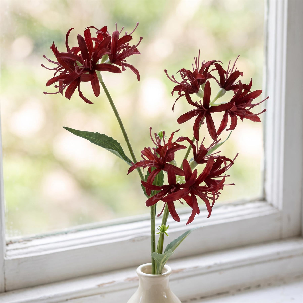 Faux Spider Lily Stems, 72cm with 3 Flower Heads - Set of 6