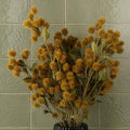 Pack of 6 x 85cm Craspedia Stem Yellow Artificial - Premium Quality