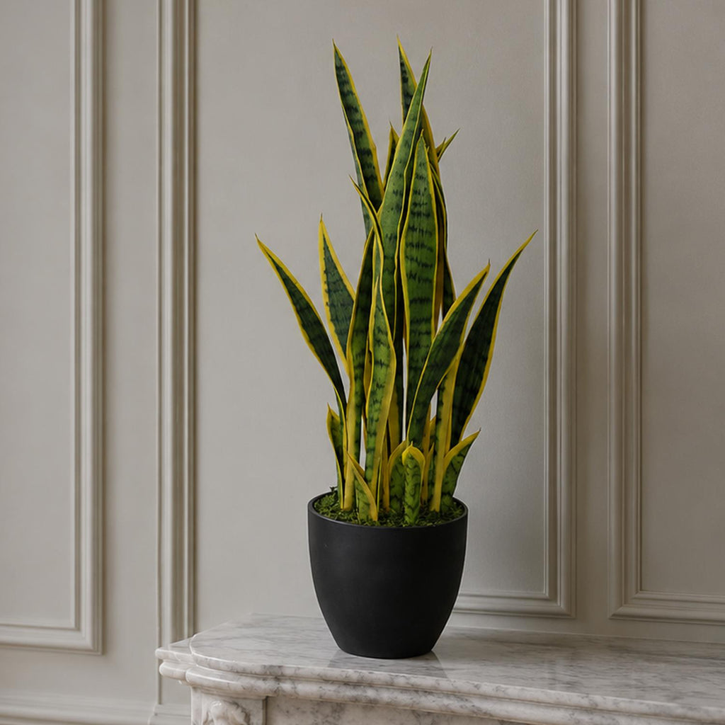 70cm Artificial Sansevieria with pot - Premium Quality
