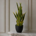 70cm Artificial Sansevieria with pot - Premium Quality