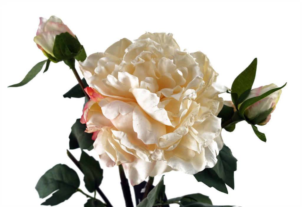 6 x 60cm Peony Artificial Flower Cream - 6 flowers 18 buds - Premium Quality