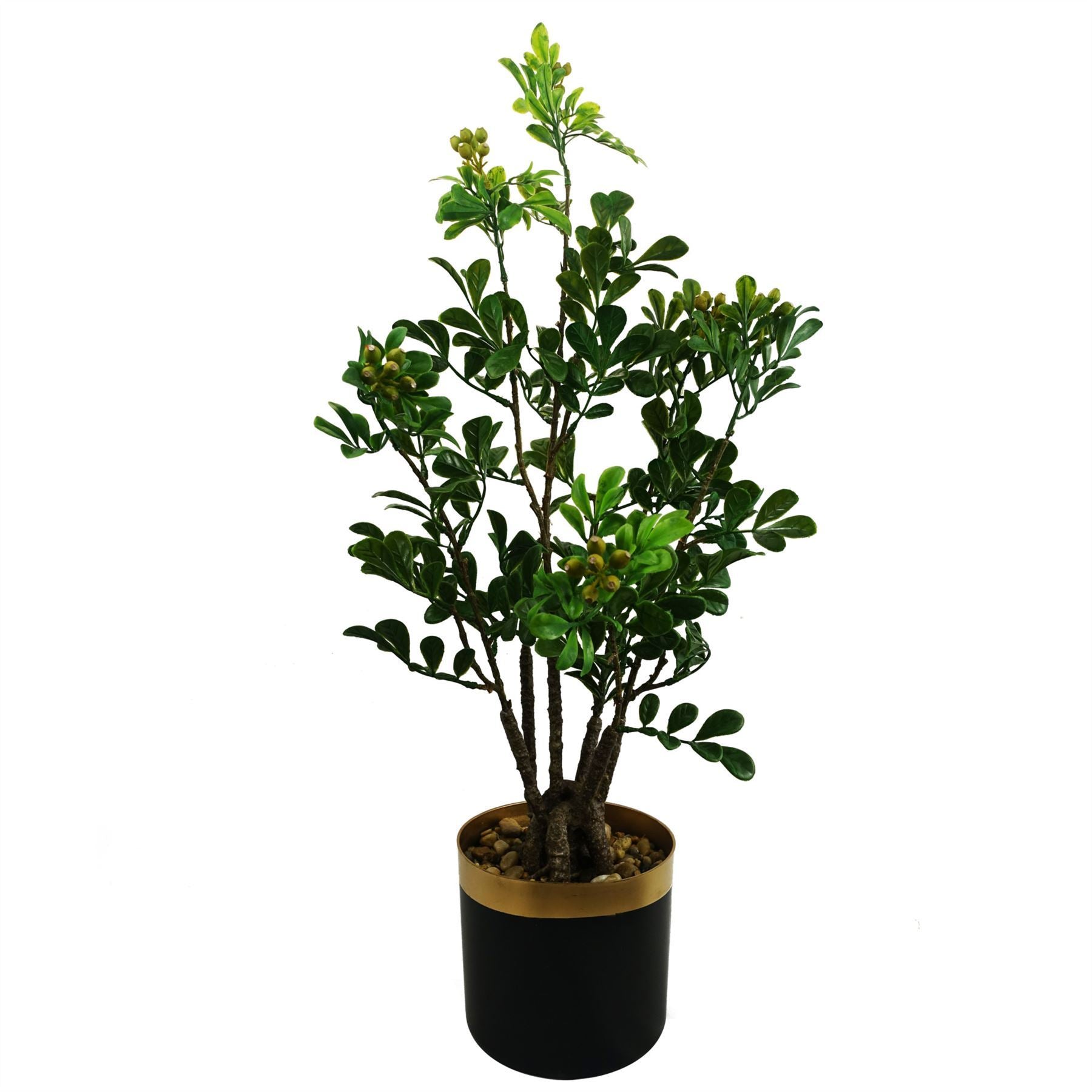 60cm Artificial Aglaia Odorata Bonsai Ficus Tree - Premium Quality