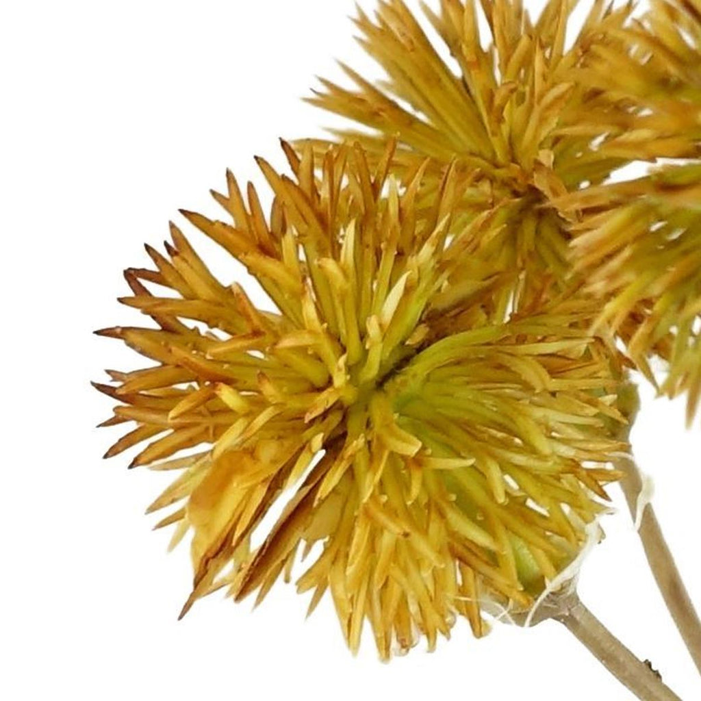 Pack of 6 x 85cm Craspedia Stem Yellow Artificial - Premium Quality (image 11 of 11)