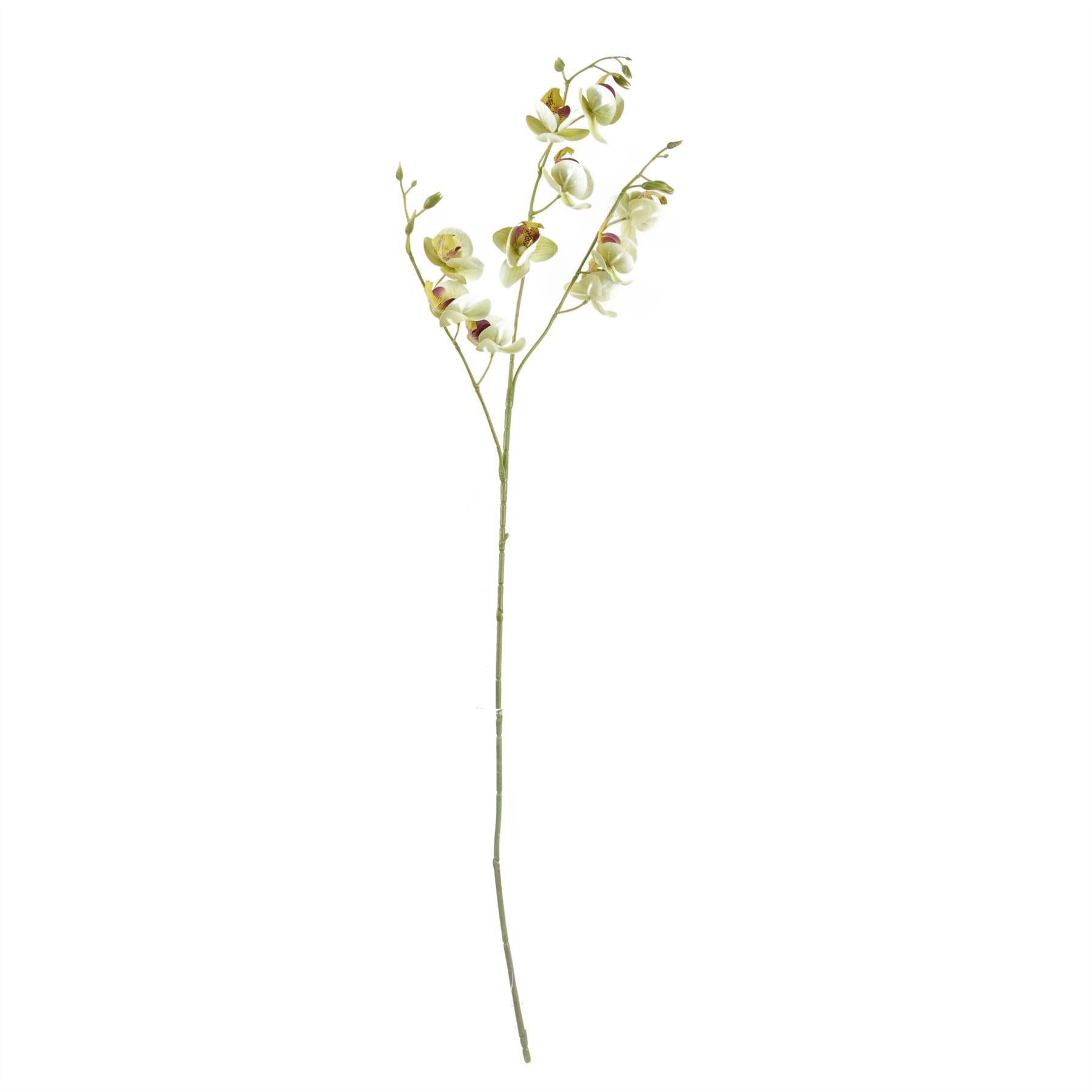 65cm Artificial Mixed Wild Orchid and Ferns Glass Vase - Premium Quality