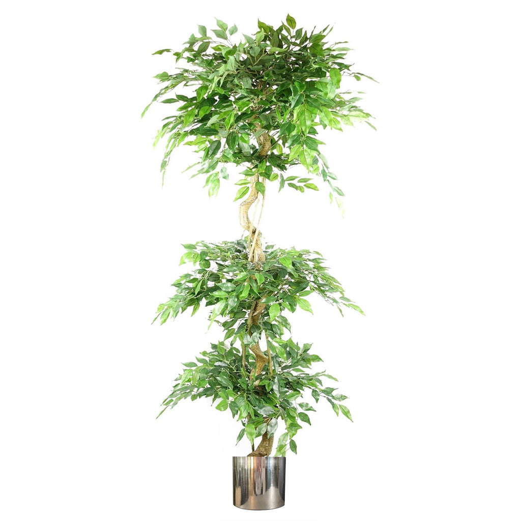 180cm Artificial Twisted Trunk Fruticosa Ficus Tree Triple Ball Topiary 1984 Leaves