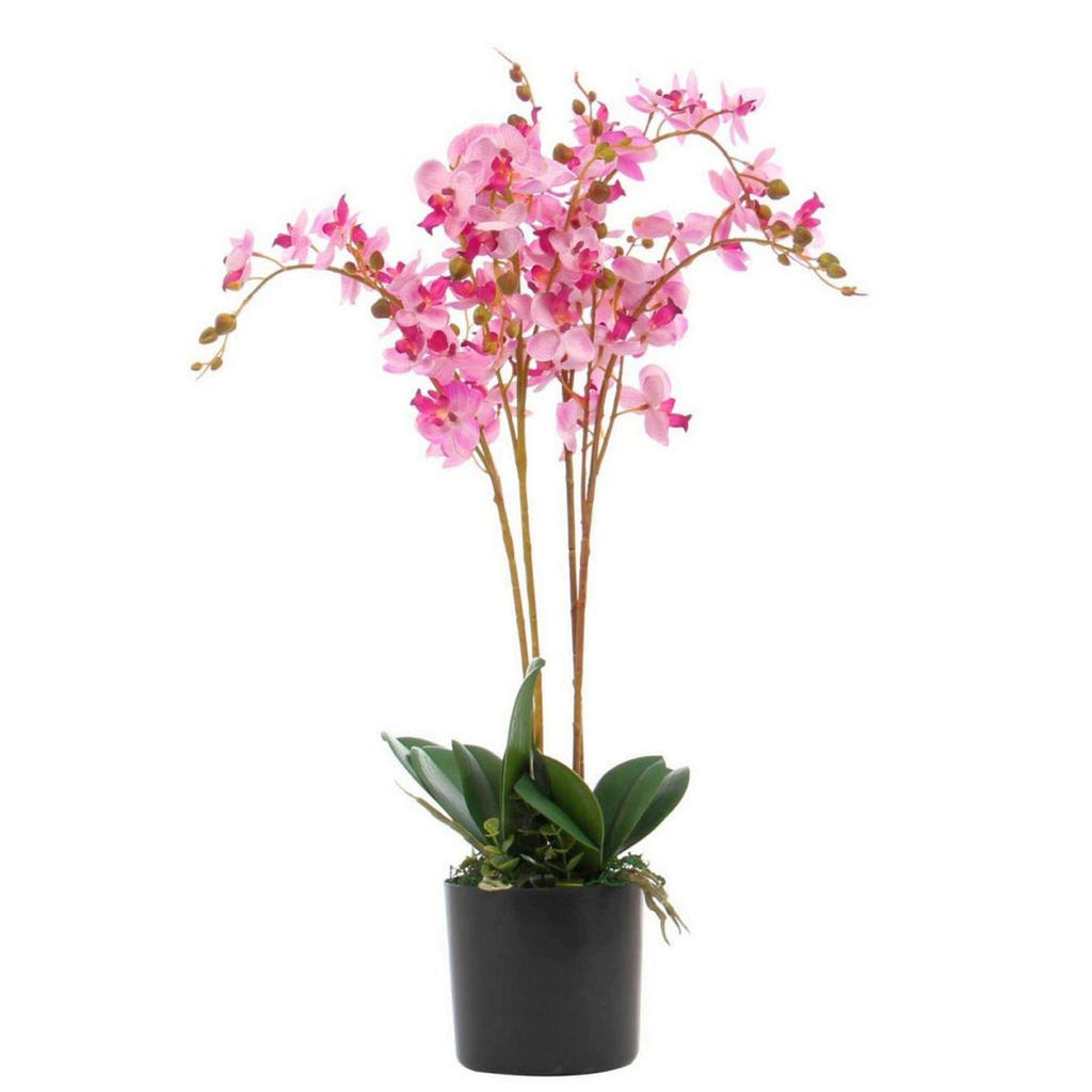 60cm Botanik Realistic Artificial Orchid Flower Display in Pot