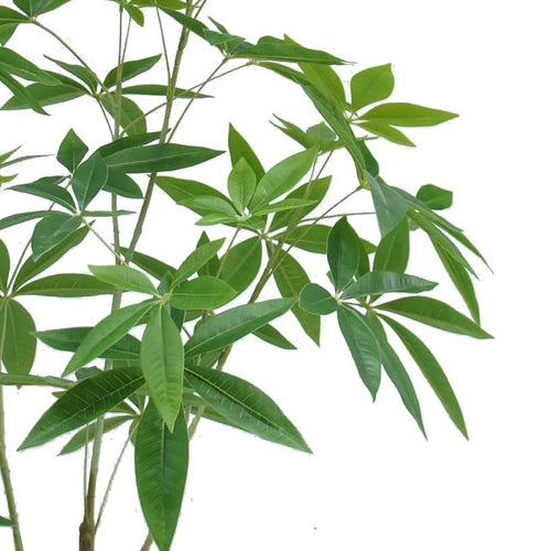 120cm Artificial Money Plant Pachira Realistic Faux Tree - Premium Quality