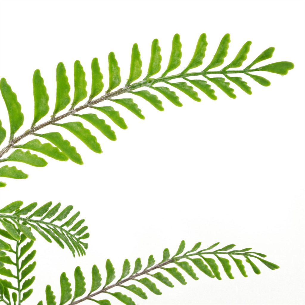 Artificial 6 x 55cm Himilayan Maidenhair Fern Bush Light Green Plant - Premium Quality