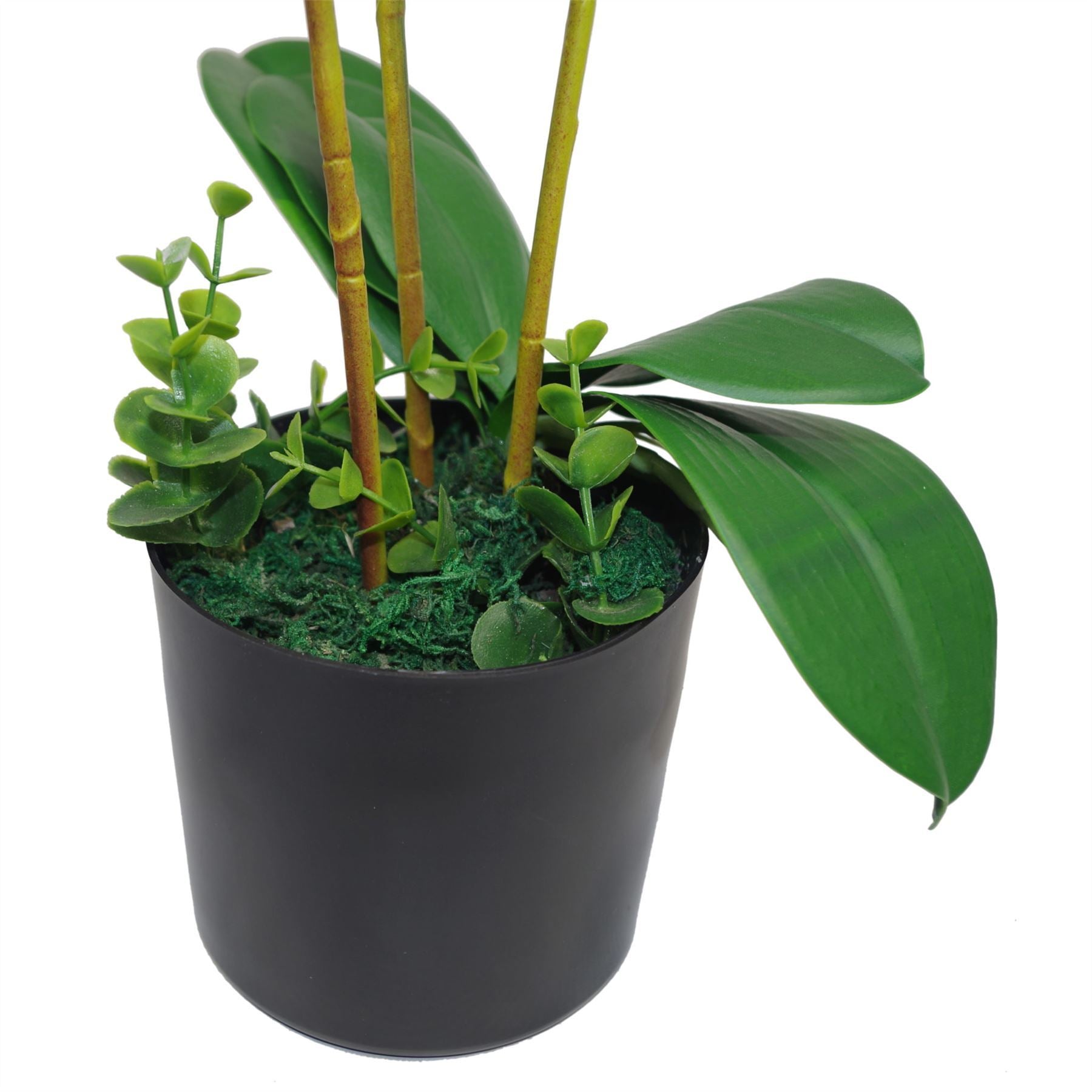 Large Artificial Orchids Display with XL Metal Bowl Planter 70x70cm - Premium Quality