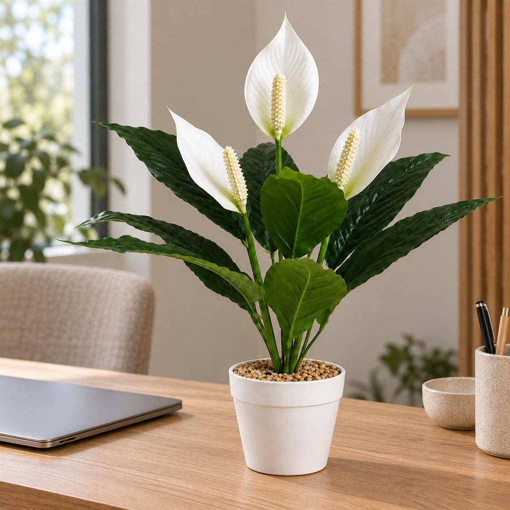 Faux Peace Lily Plant in Pot, 38cm Small Flowering House Plant