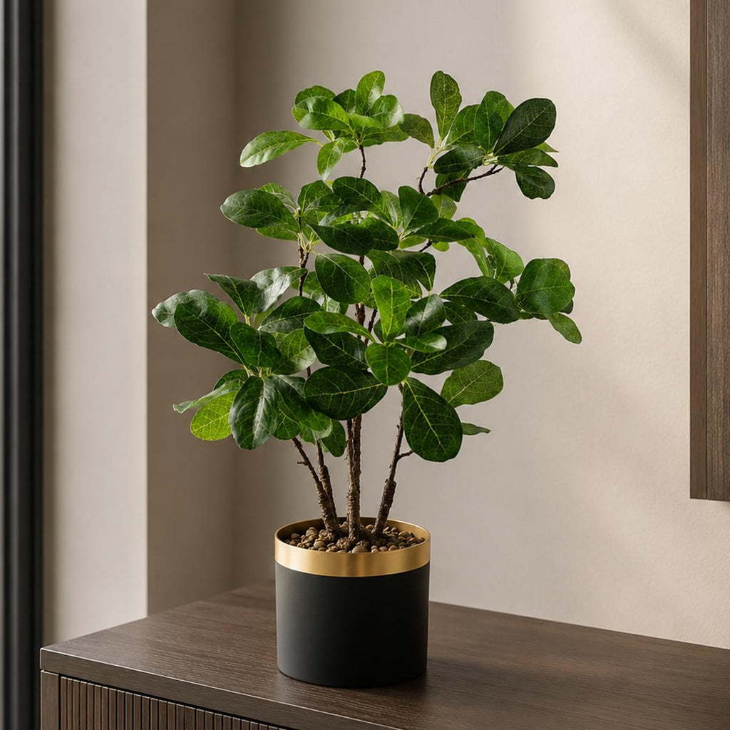 60cm Artificial Tropical Bonsai Ficus Tree - Premium Quality