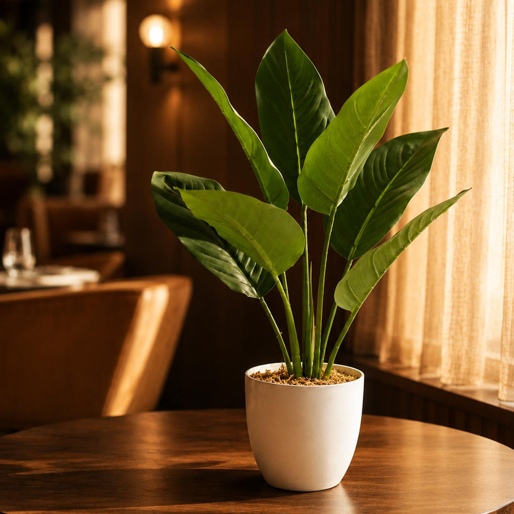 45cm Artificial Aureum Plant - Premium Quality
