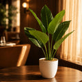 45cm Artificial Aureum Plant - Premium Quality