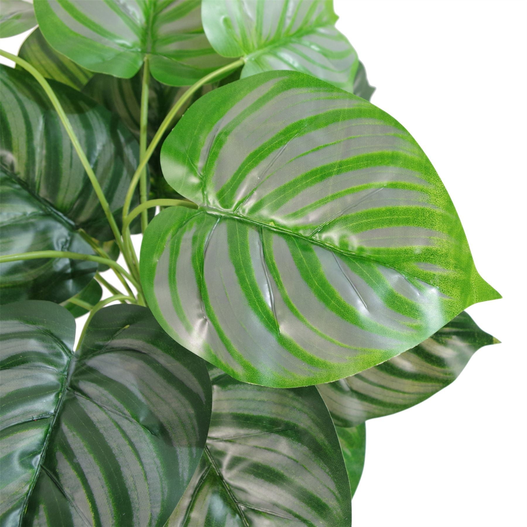 60cm Artificial Green Stripe Botanik Plant - Premium Quality