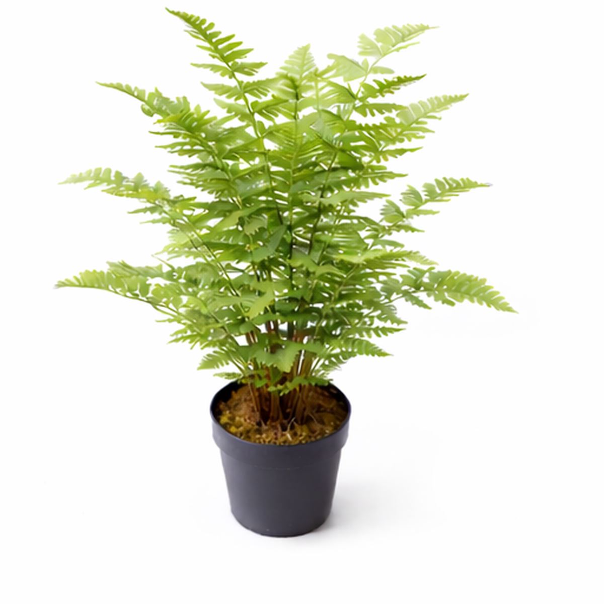 75cm Artificial Fern Plant - Premium Quality