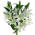 Artificial Pack of 6 x 100cm Large White Lily Stem - 18 Flowers - Premium Quality