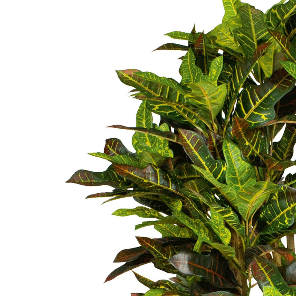 150cm Artificial Croton Tree - Premium Quality
