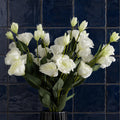 Pack of 6 x 80cm Artificial White Wild Rose Stem - 36 Flowers - Premium Quality