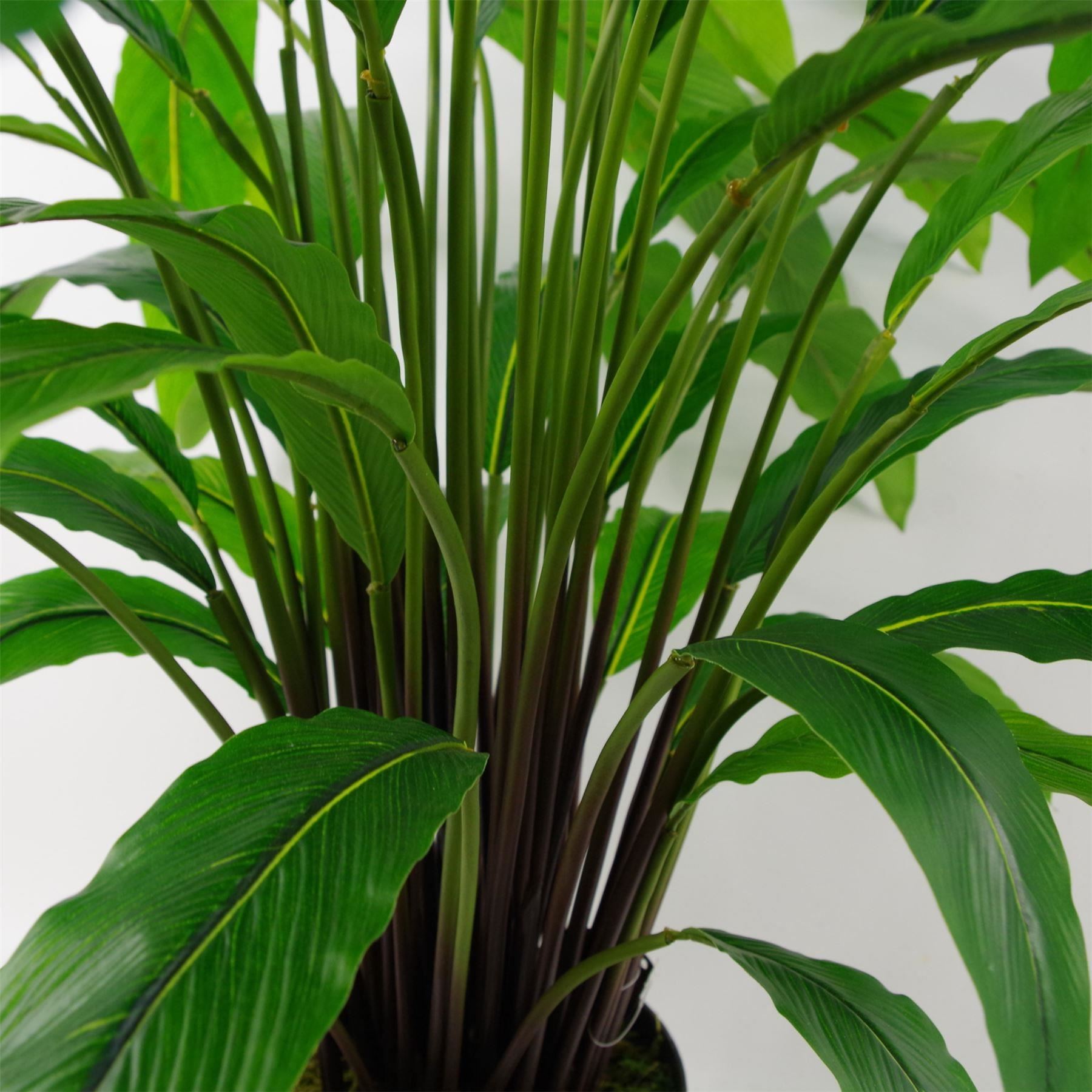 90cm Artificial Calathea Plant Dark Green - Premium Quality