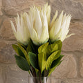 Pack of 6 x 65cm Protea Sugarbush Flower Stem - White - Premium Quality