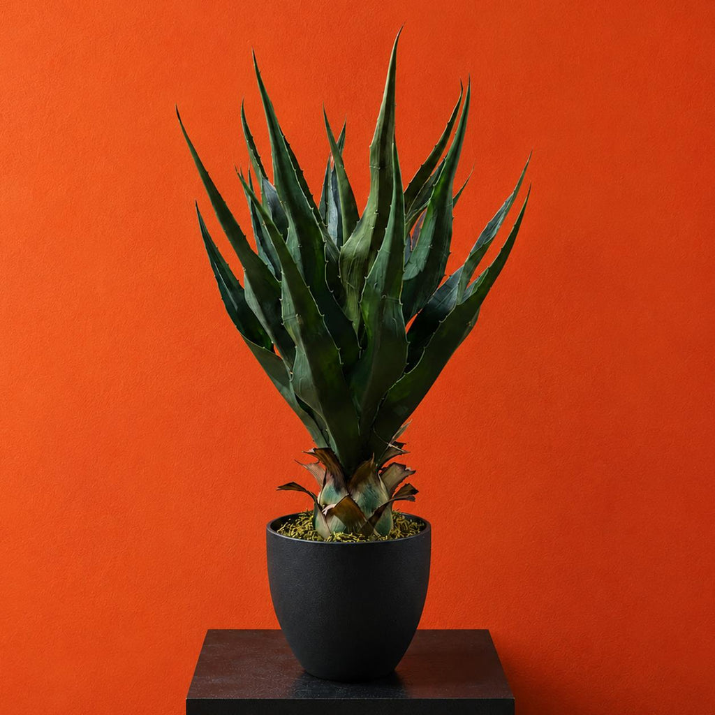 70cm Agave Tropical Yucca Artificial - Premium Quality