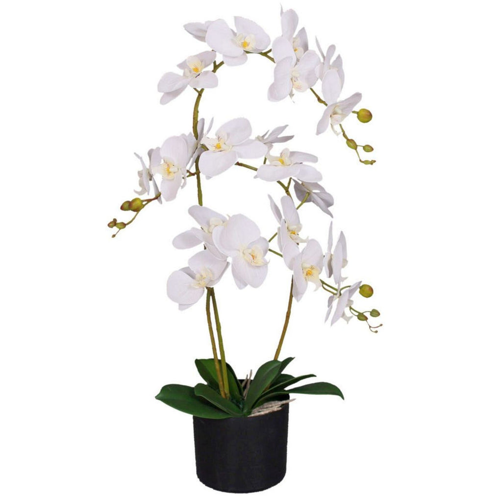 65cm Botanik Realistic Artificial Orchid Flower Display in Pot