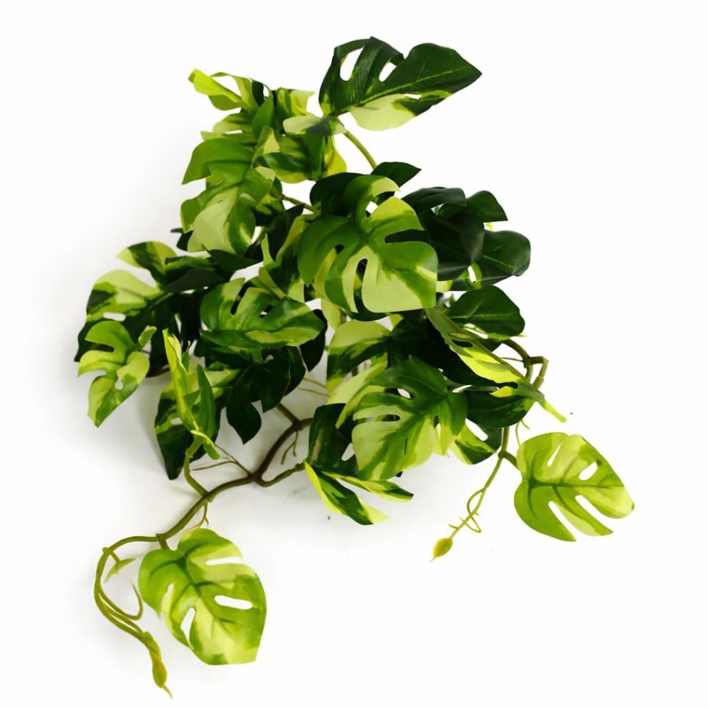 25cm Artificial Trailing Variegated Monstera Vine Plant - Premium Quality