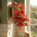 30cm Artificial Trailing Red Caladium - Premium Quality