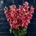 Pack of 6 x 75cm Delphinium Dark Pink Artificial Stem - Premium Quality