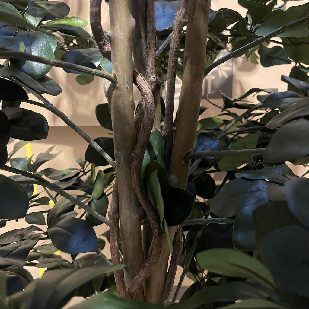 180cm Artificial Fire Retardant Black Olive Tree with 2925 Leaves and Natural Trunk - Premium Quality
