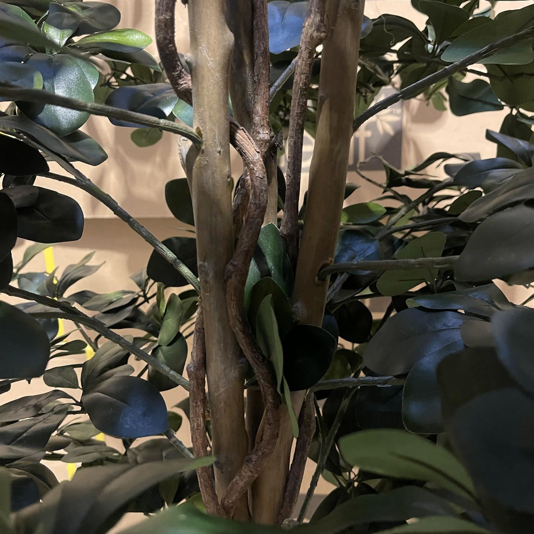 180cm Artificial Fire Retardant Black Olive Tree with 2925 Leaves and Natural Trunk - Premium Quality