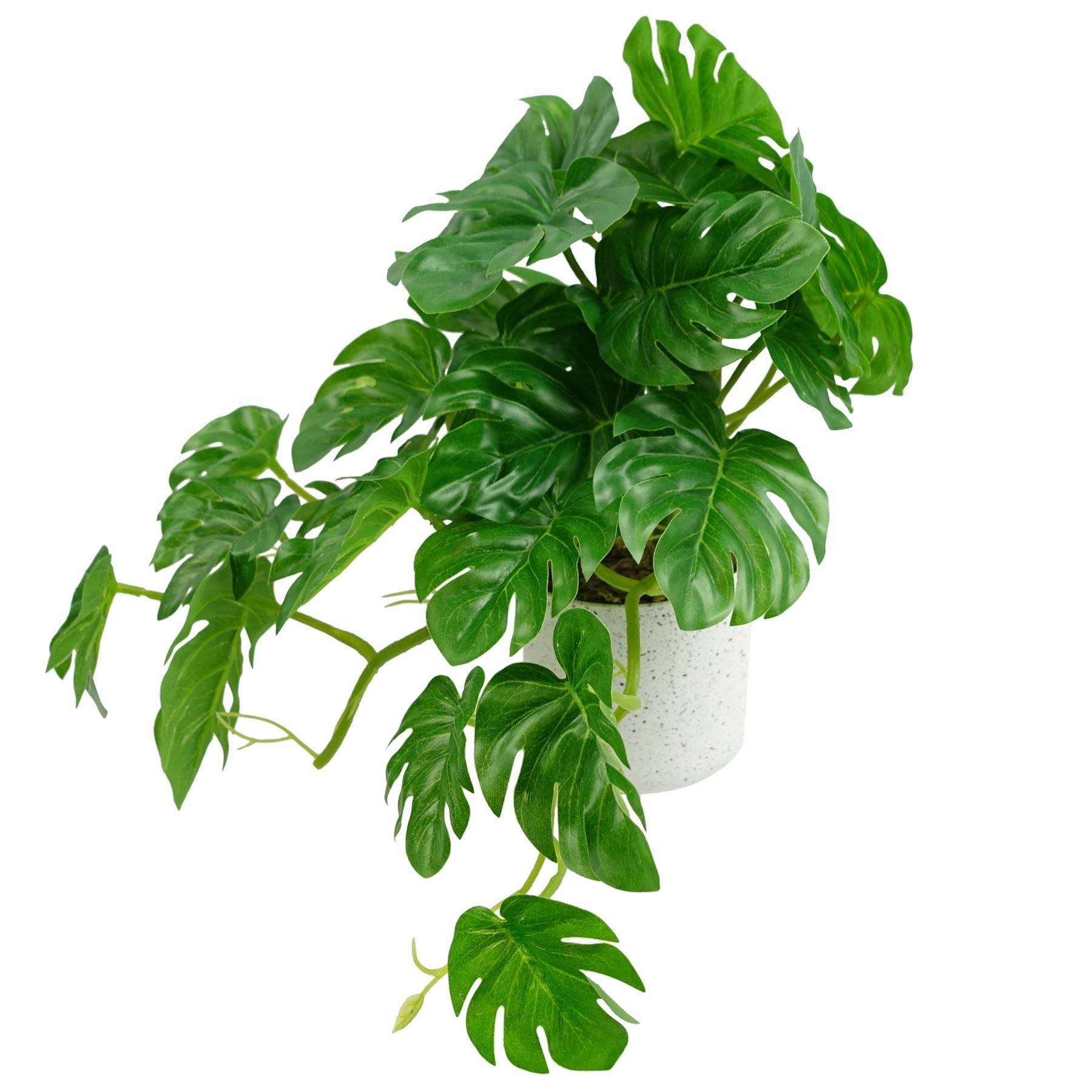 30cm Artificial Green Potted Monstera Trailing Plant - Premium Quality