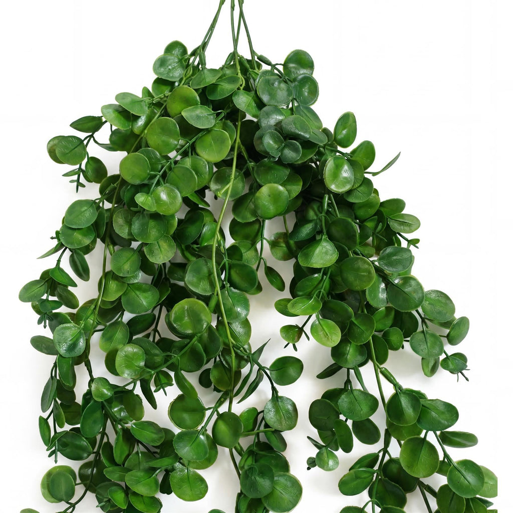 75cm Artificial Trailing Round Botanik Hanging Foliage Plant - Deep Forest Green - Premium Quality