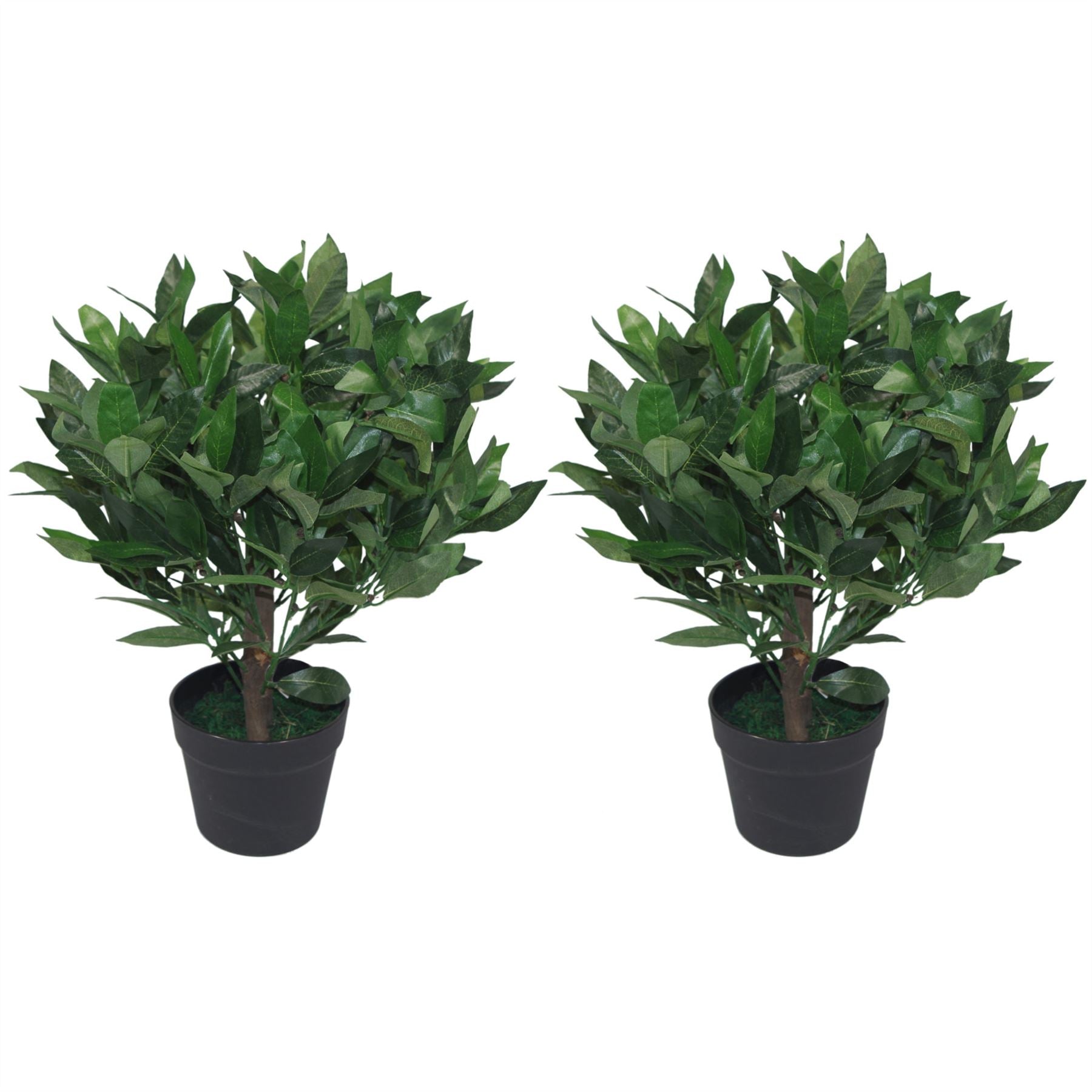 50cm Botanik Artificial Realistic Bay Laurel Topiary Ball Tree