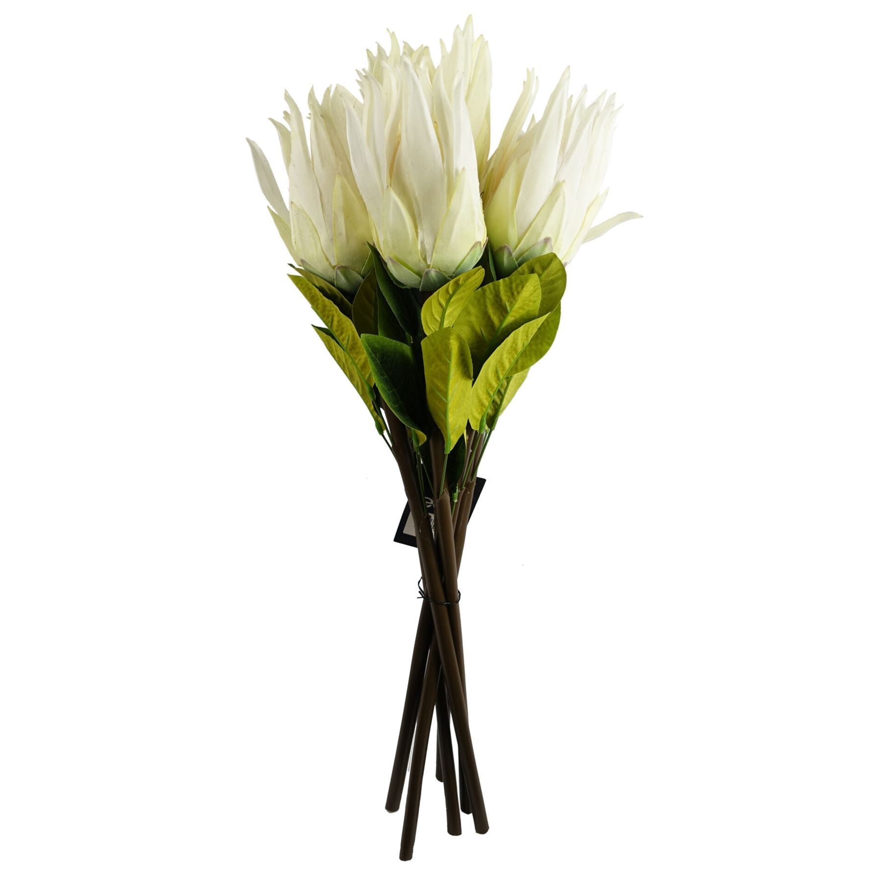 Artificial Pack of 6 x 65cm Protea Sugarbush Flower Stem - White - Premium Quality