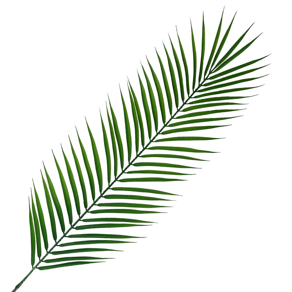 Pack of 6 x 100cm Realistic Artificial Palm Botanik - Premium Quality
