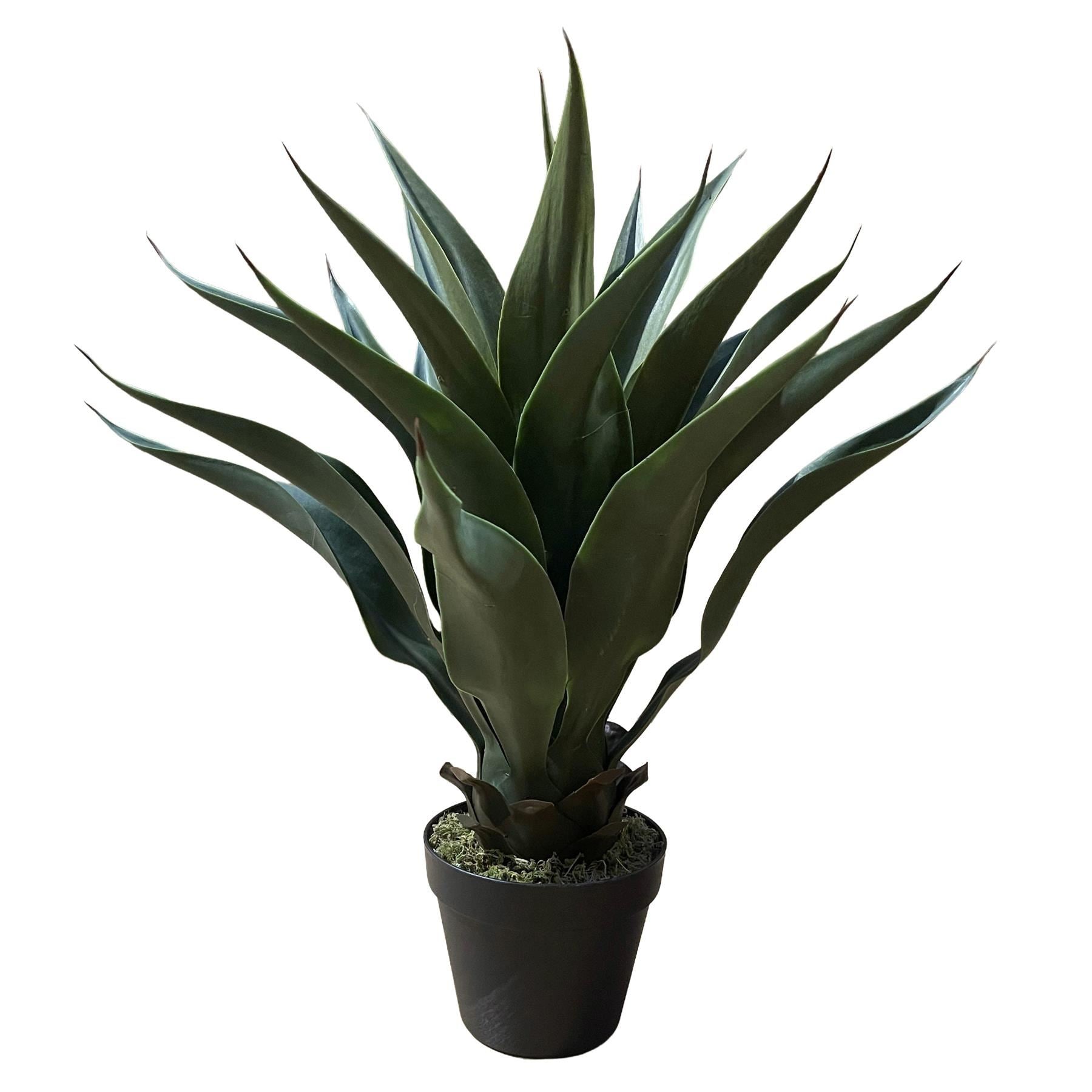 60cm Deluxe Yukka Artificial - Premium Quality