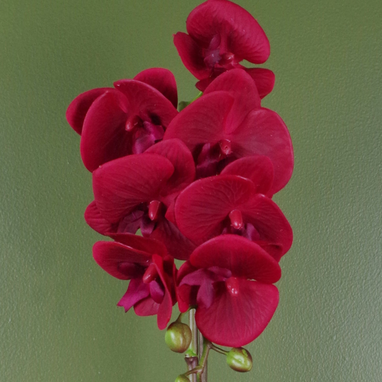 46cm Artificial Orchid Red with Silver Pot