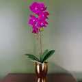 46cm Artificial Orchid Dark Pink and Gold